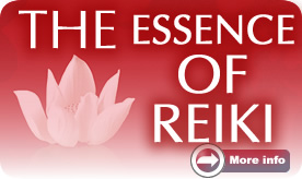 Read an interview with author, Dawn Mellowship